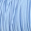 Polar Blue Paracord 100 Type I